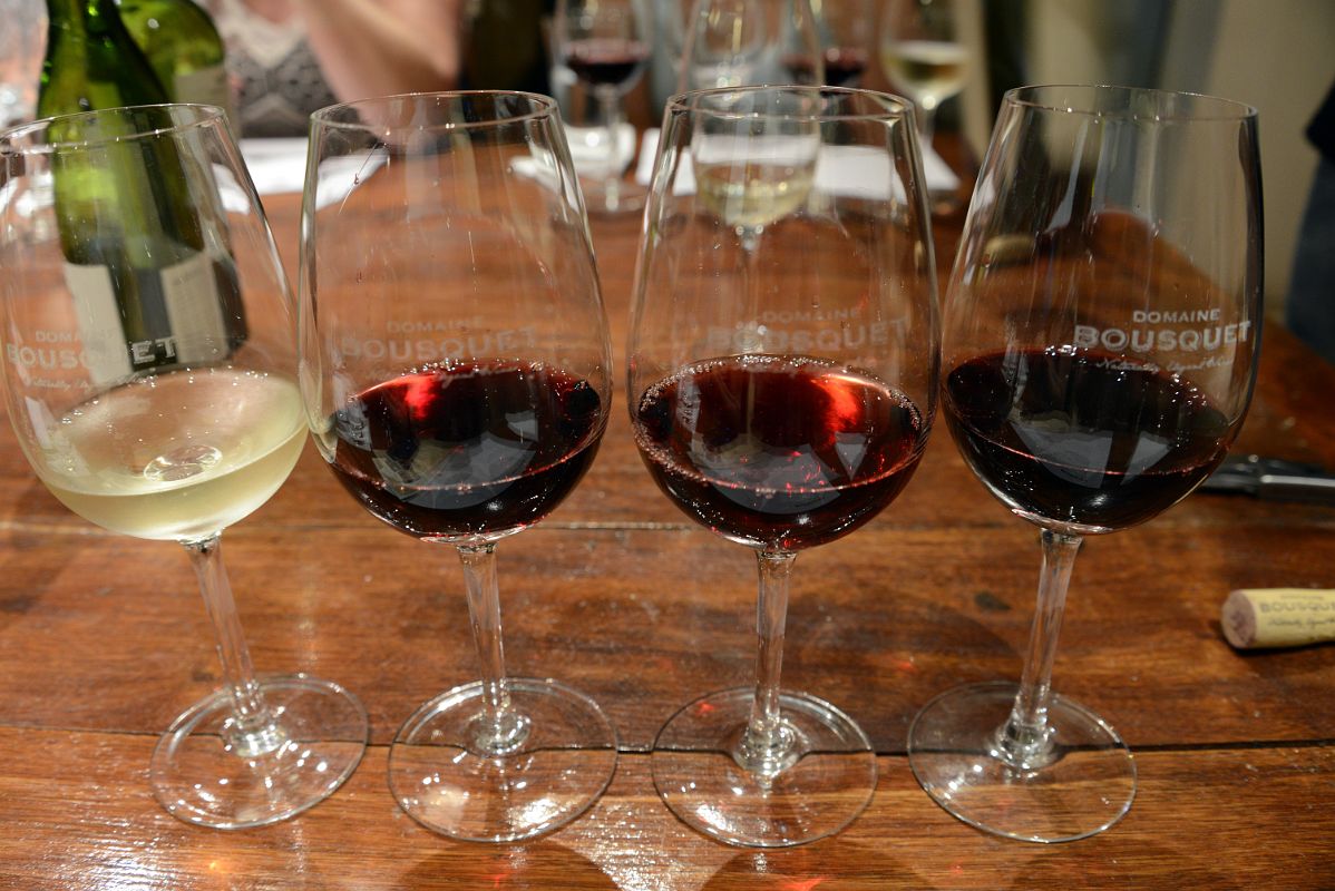 03-12 Chardonnay, Cabernet Sauvignon, Pino Noir, Malbec Wine Tasting At Domaine Bousquet On Uco Valley Wine Tour Mendoza